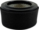 Filtro de aire para compresor