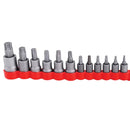 Juego de 12 dados Torx tipo insertados de T10 a T60.