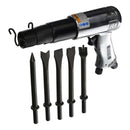 Martillo nuemático STD con 5 cinceles 2000rpm.