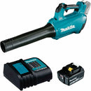 sopladora Inalámbrica 18V XPT c/batería/cargador/accesorios